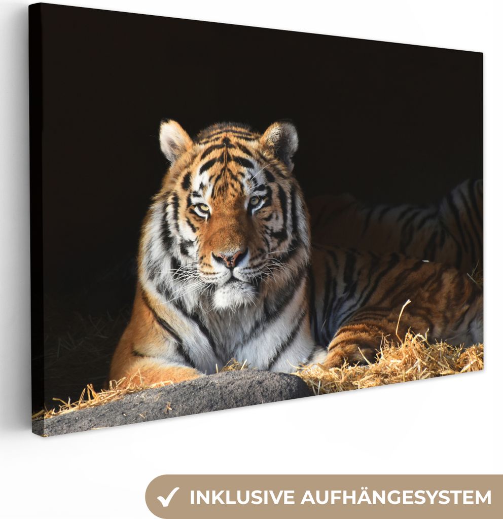 OneMillionCanvasses - Leinwandbilder - 140x90 cm, Tiger - Stroh - Schatten, Wandbilder Kunstdruck Wanddekoration