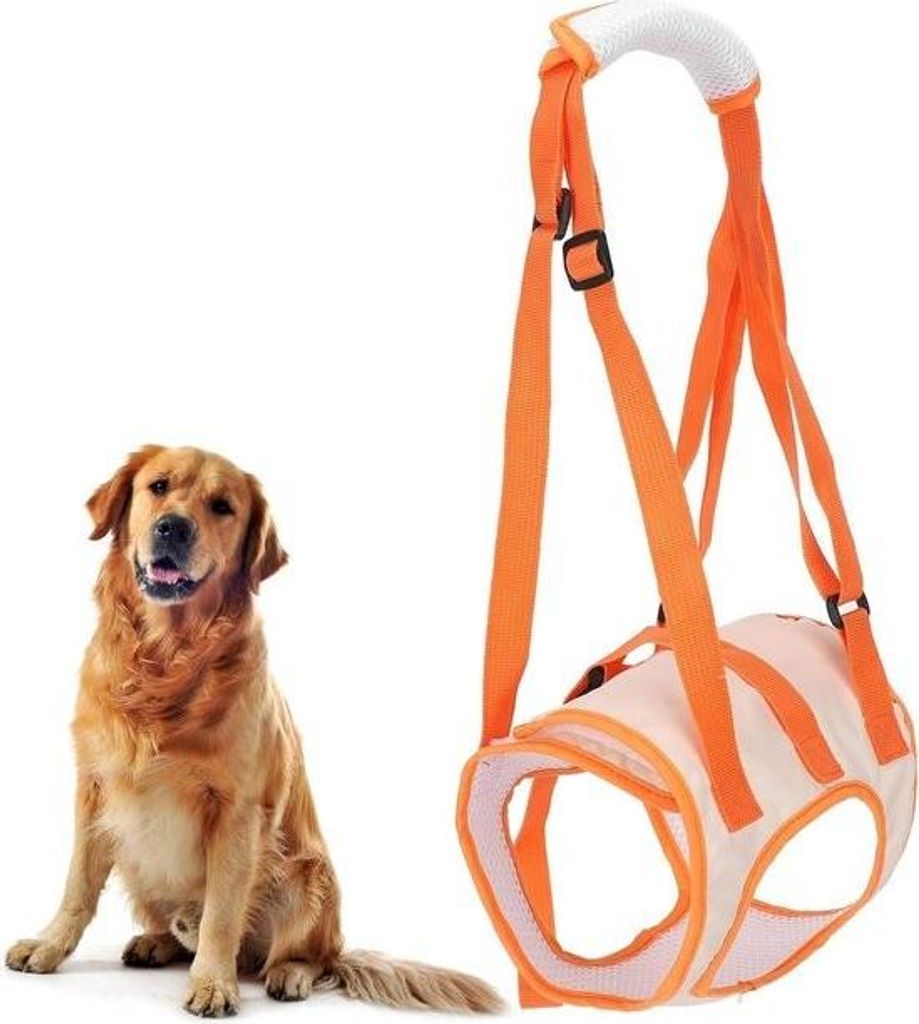 Verstellbares, atmungsaktives Hebegeschirr für Hunde – Unterstützung der Hinterbeine – alte, behinderte, arthritische, gelähmte Hunde – Gr...
