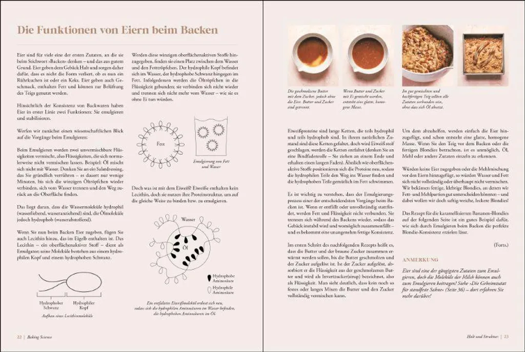 Baking Science : Maîtrise des Ingrédients et Techniques de Cuisson Exactes - 2