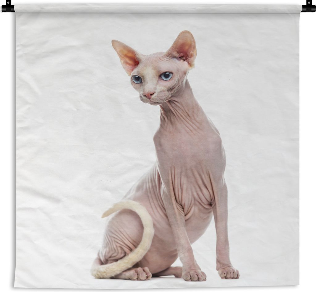 MuchoWow Wandteppich Wandbehang Porträt einer Sphynx auf weißem Hintergrund 90x90 cm Tapisserie Dekoration Wandtuch - Wandaufhänger