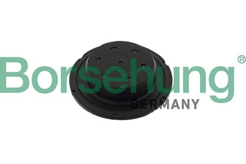 Borsehung Reparaturhülse Steuergehäusedeckel B10644 für VW Golf VII Schrägheck (5G1, BQ1, BE1, BE2)