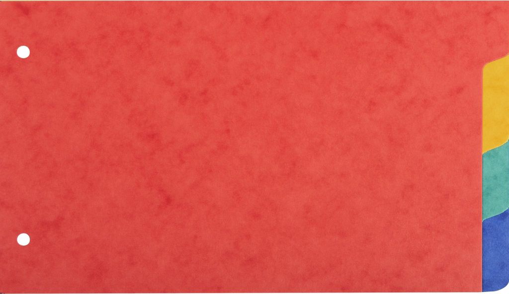 Exacompta 10x Register 125x200mm Karton 225g 4 Taben 2-fach gelocht 704E