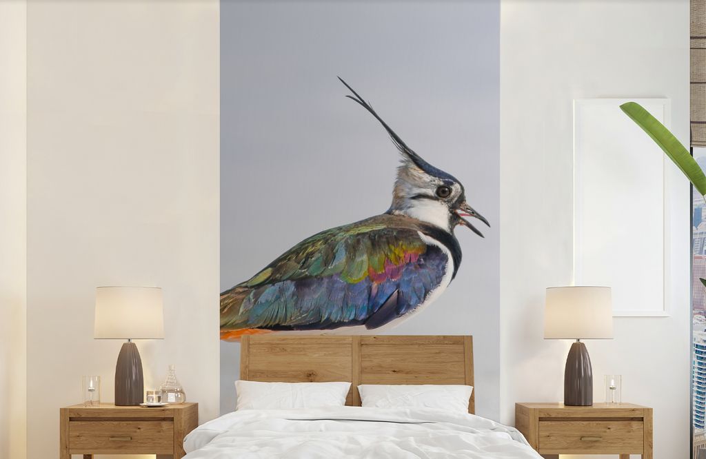 MuchoWow Fototapete für Wohnzimmer oder Schlafzimmer Wandtapete Vinyl Motivtapete Vogel - Tiere - Sand - Kiebitz - 120x240 cm - Hintergrundbild
