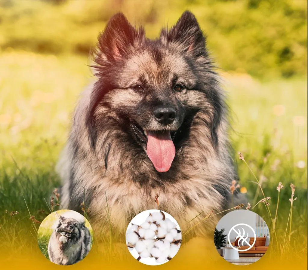 Offerta RF-DEER Corda Corna di Cervo Cani - Gioco Durevole 60cm - 6
