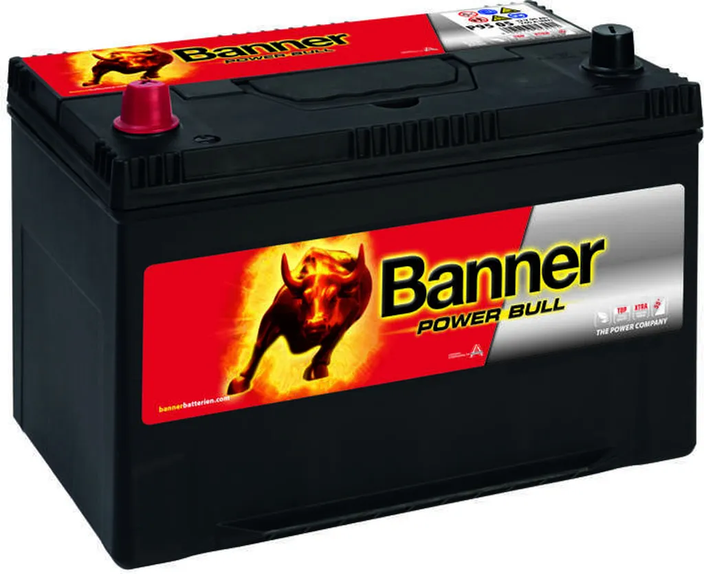 Batterie de Voiture 95Ah 12V Banner Power Bull P9505 pour Berlines et SUV