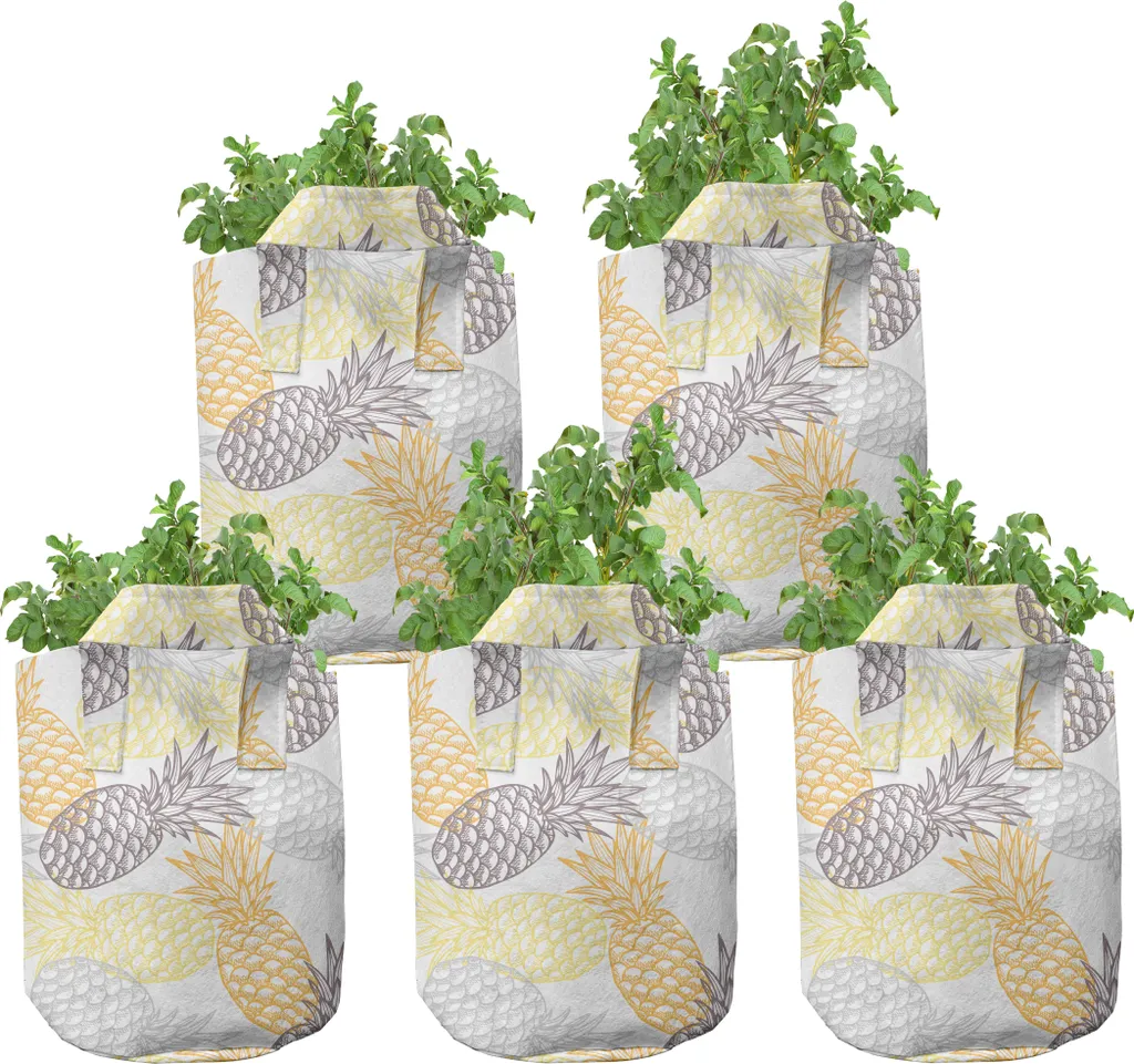 Pots de culture anti-chignonage des racines, grands sacs en tissu gris