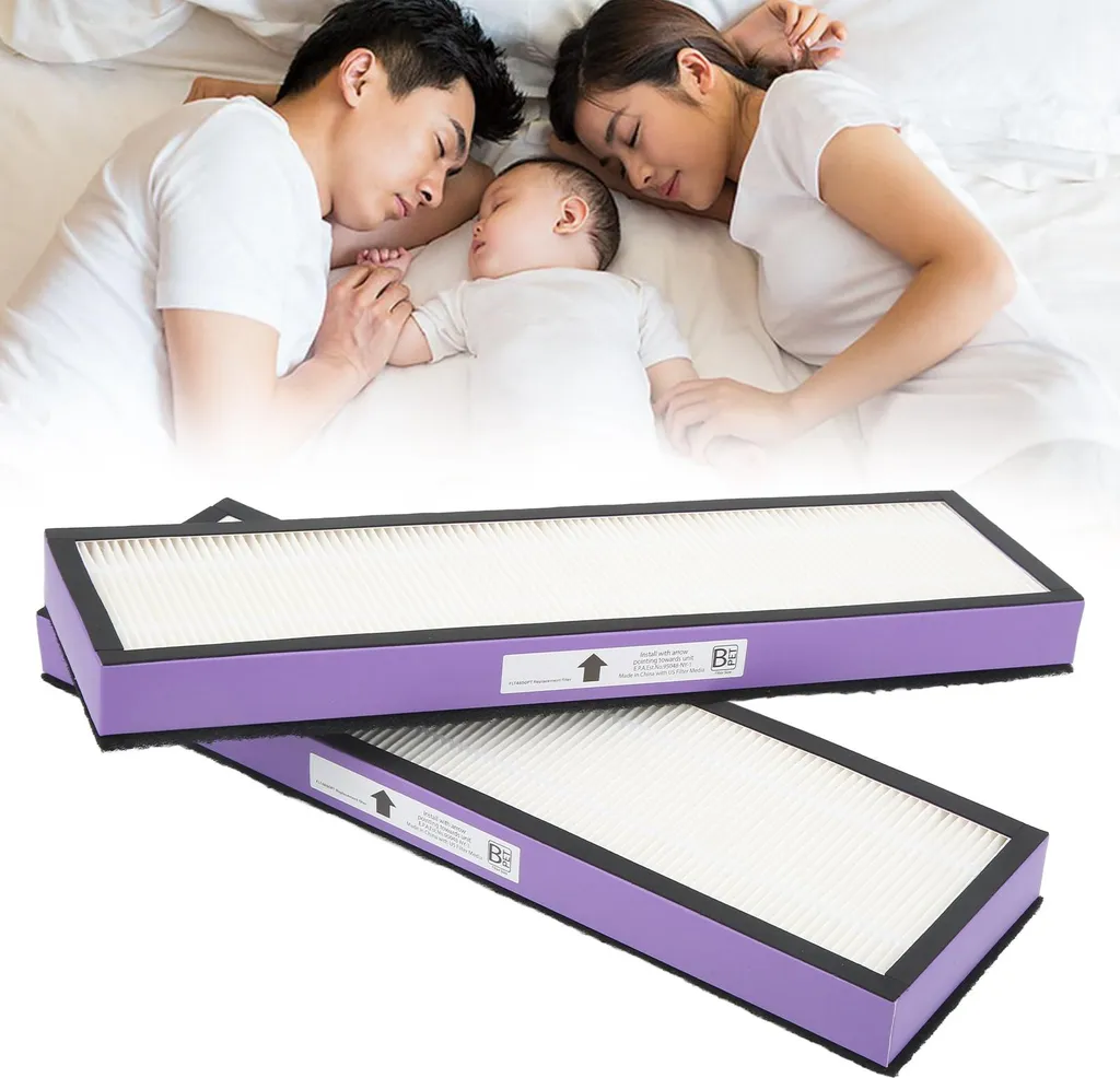 Filtres à Particules Haute Performance pour Germ Guardian AC4850PT x2 - 10
