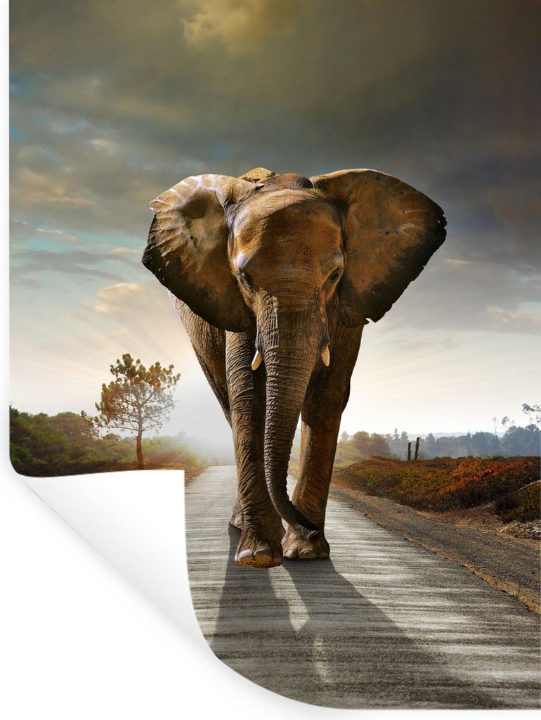 MuchoWow Wandtattoo Wandsticker Wandaufkleber Elefant - Straße - Tiere - Sonnenuntergang - Landschaft 30x40 cm Selbstklebend und Repositionierba...