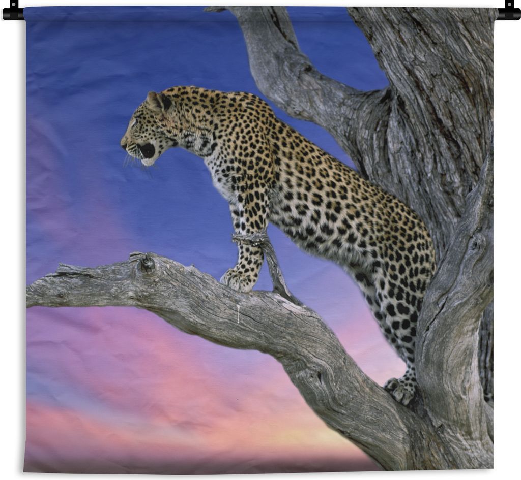 MuchoWow Wandteppich Wandbehang Leopard - Baum - Zweig 150x150 cm Tapisserie Dekoration Wandtuch - Wohnaccessoires - Modernes