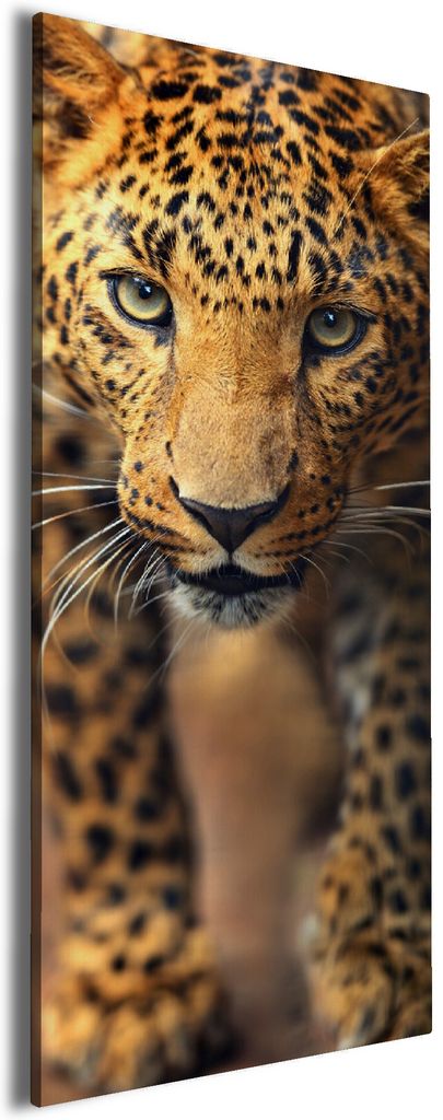 Wallario Premium Leinwandbild Leopard in Nahaufnahme beim Laufen in Größe 30 x 75 cm