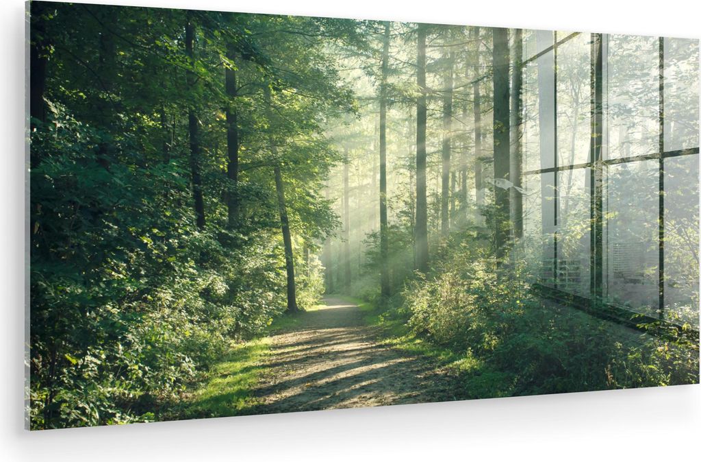 MuchoWow Glasbilder - Bilder auf Wandbild - Foto auf Glas Wald - Weg - Sonne - Bäume - Grün - Natur 120x60 cm Wanddekoration aus Glas - Acrylglas...
