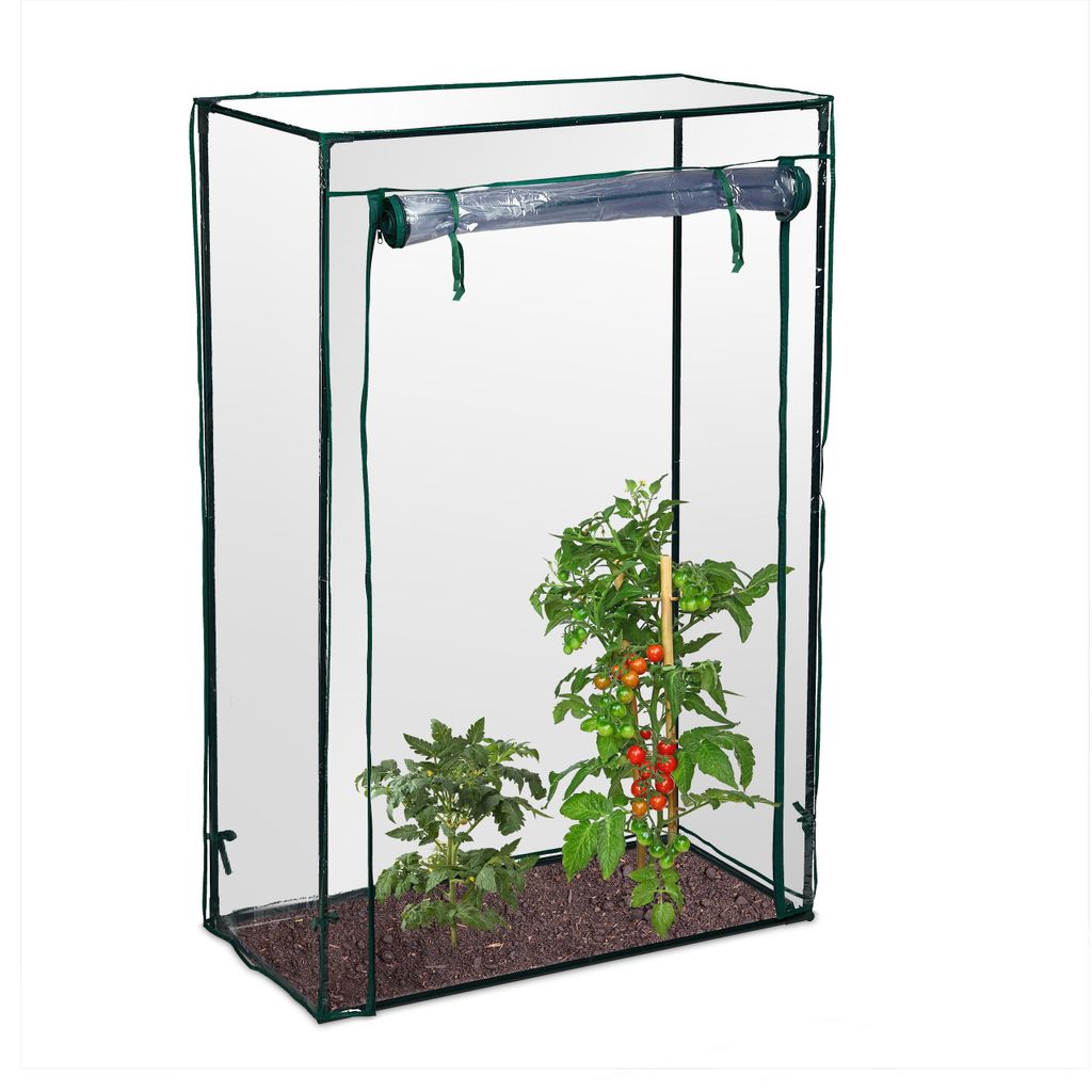 2 serre per pomodori, giardino, balcone, serra in plastica Immagine del prodotto 