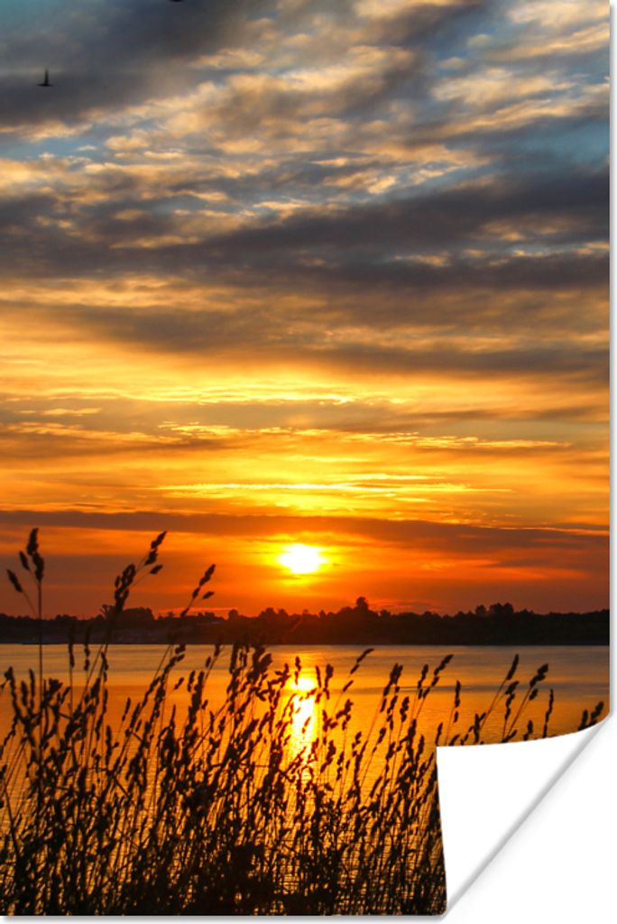 MuchoWow Poster Sonnenuntergang - Meer - Horizont - Himmel - Pflanzen 20x30 cm - Papierdruck