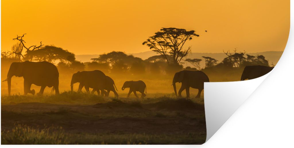 MuchoWow Wandtattoo Wandsticker Wandaufkleber Elefantenherde bei Sonnenaufgang 80x40 cm Selbstklebend und Repositionierbar - Aufkleber