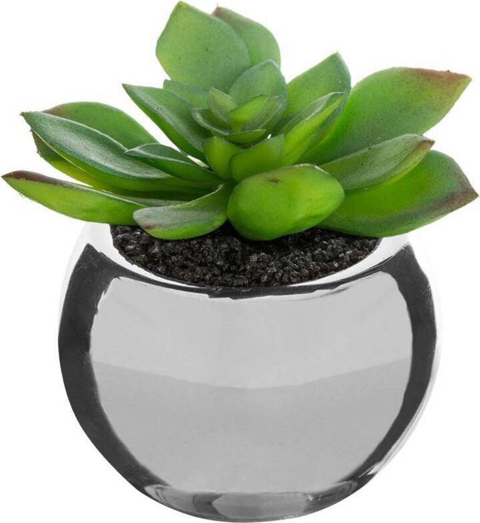 Grünpflanze keramiktopf h.15 - Atmosphera créateur d'intérieur