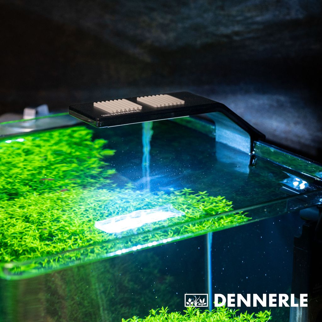 Dennerle Trocal Style Two, 6 Watt - LED Beleuchtung für Produktbild 