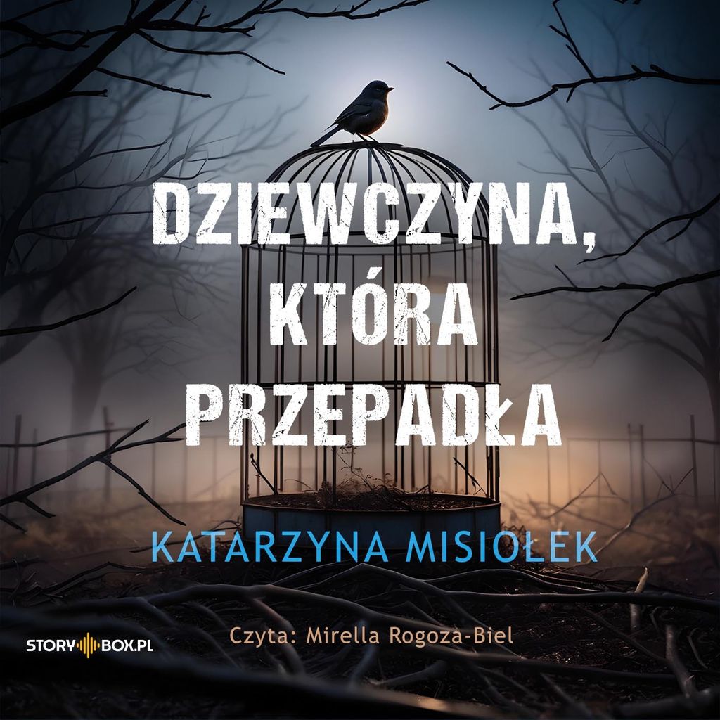 CD MP3 Dziewczyna która przepadła