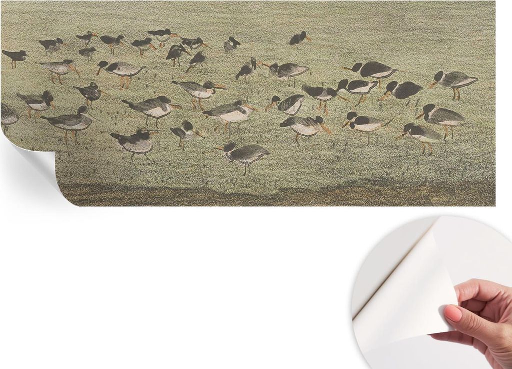 Selbstklebende Wandtapete - Dekorative Tapete für Wohnzimmer - Klebefolie für Wandbilder - Tapetenfolie für Wanddekoration - 208x146 cm - Vogelf...