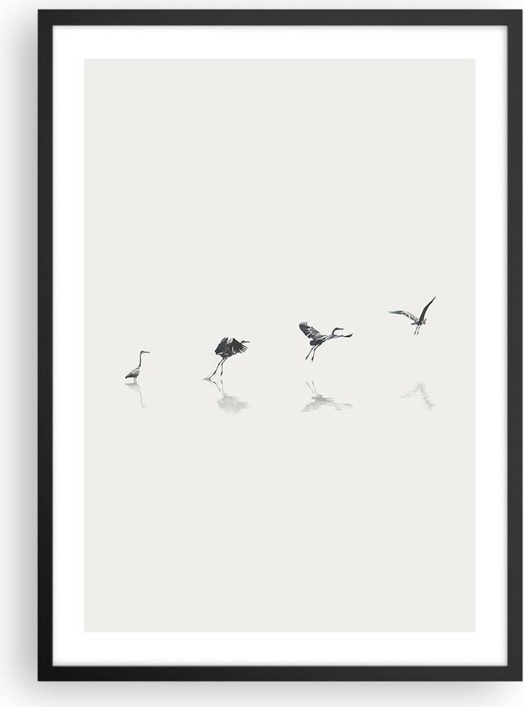 Gerahmtes Poster - Schwarzer Rahmen - Flug Vogel Reiher - 50x70 cm - Wand Bild - Wanddeko - Wandbilder - Kunstposter - Wandposter - Bilderrahmen - ...