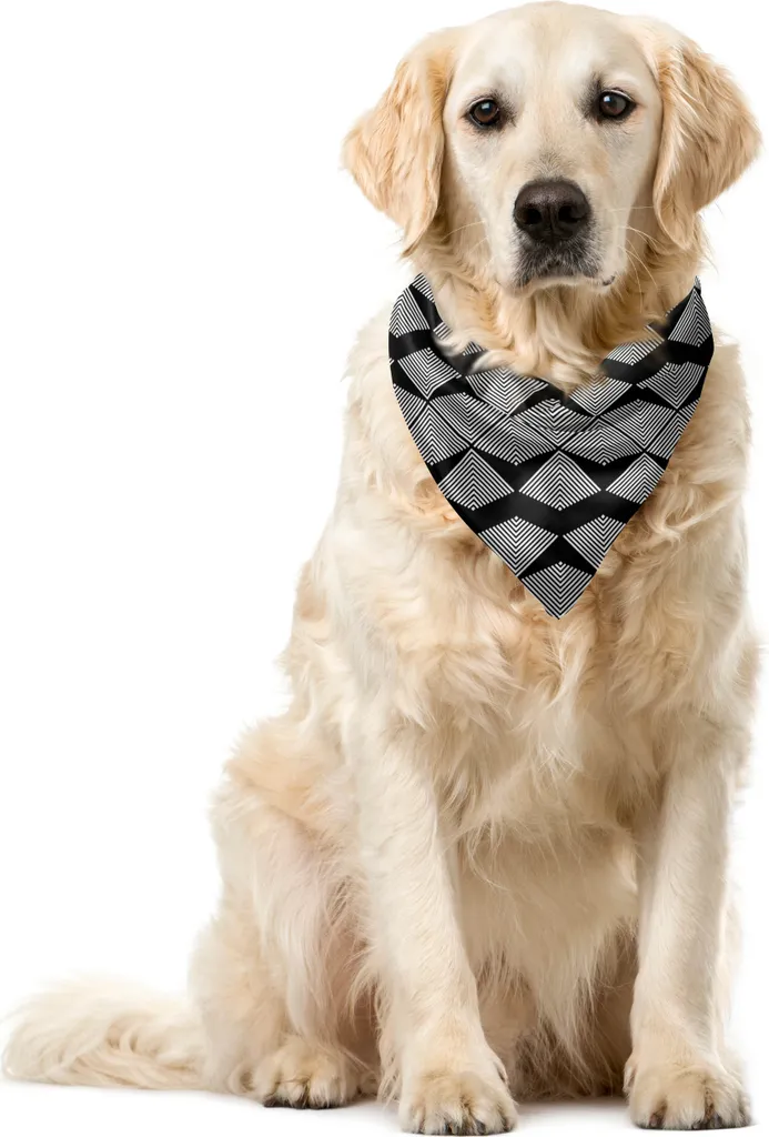 Bandana Cane Geometrica 55x55 cm ABAKUHAUS - Look Urban Antracite