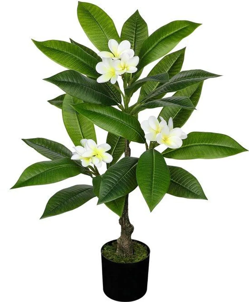 Décoration intérieure tropicale : Arbre artificiel Plumeria 75 cm