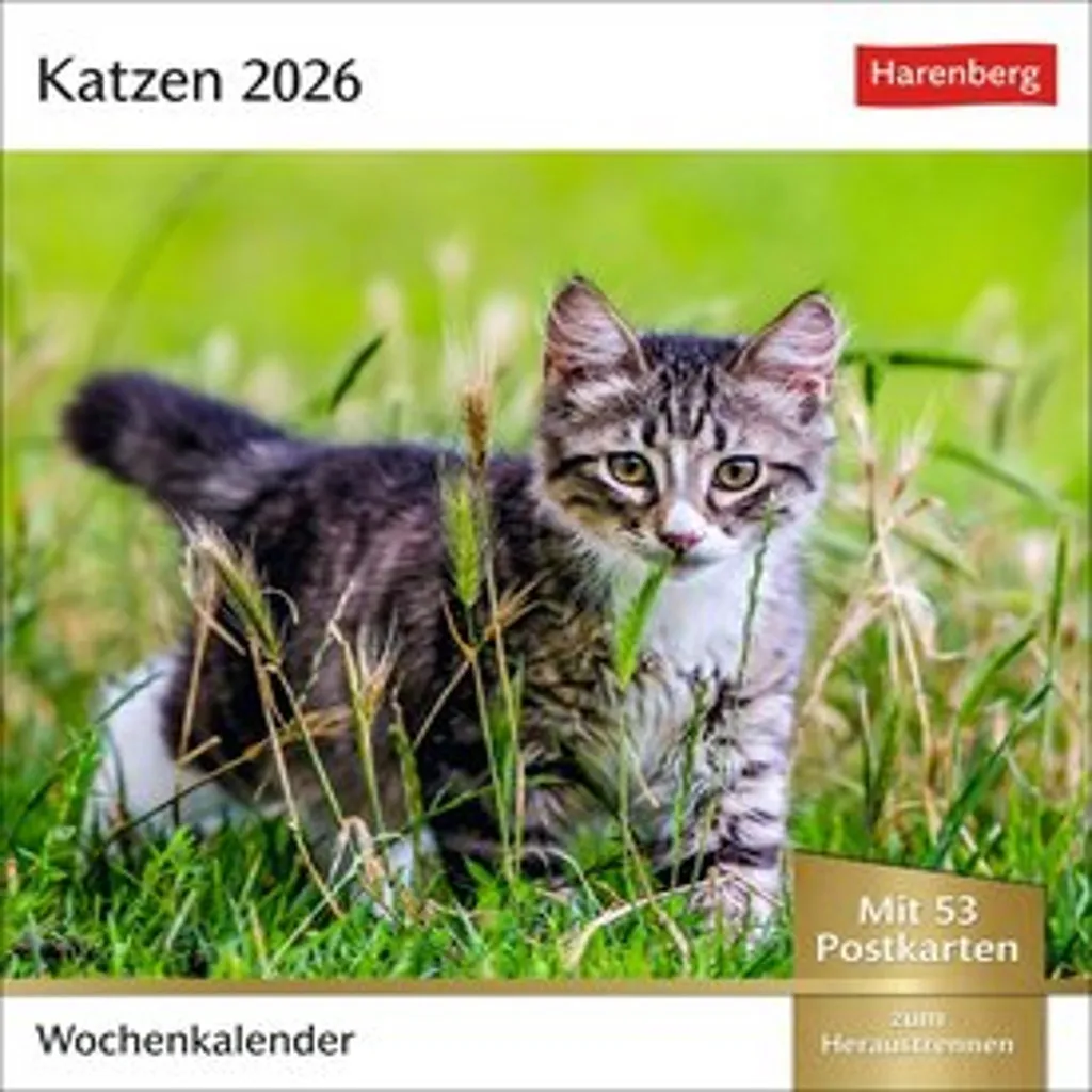 Calendrier hebdomadaire 2026 avec 53 cartes postales chats à offrir