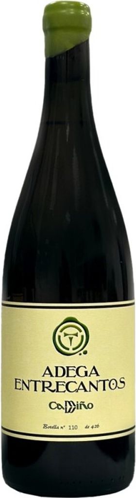 Adega Entrecantos Camiño 2022 Rotwein Spanien VT Ourense 75.00 cl 12.5 %