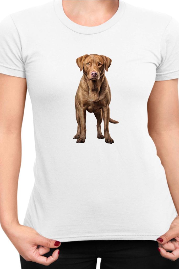Damen T-Shirt Dogs Breeds Chesapeake Bay Retriever Dog Breed 005, Lady XS / Weiß
