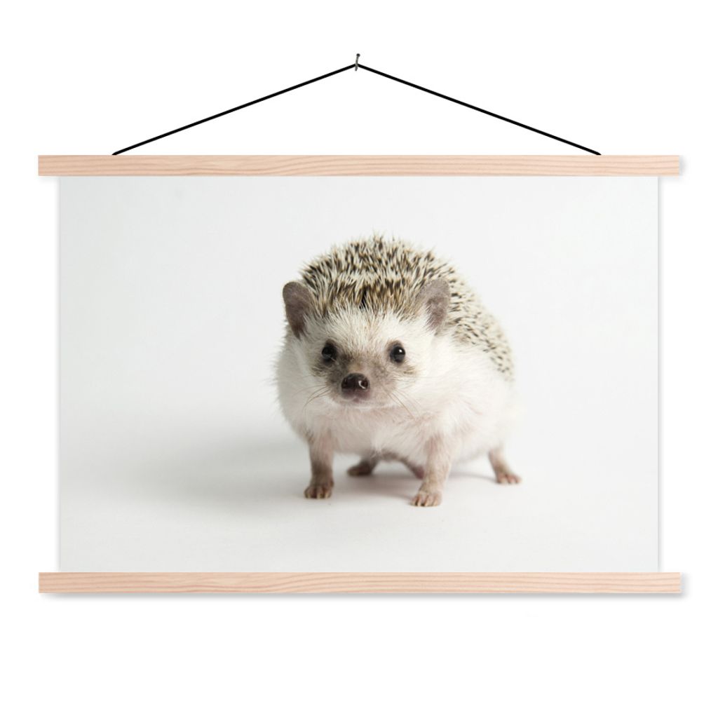 MuchoWow Textilposter Kleiner Igel für weißen Hintergrund 120x80 cm mit holzfarbenen Rahmen - Aufhängeset