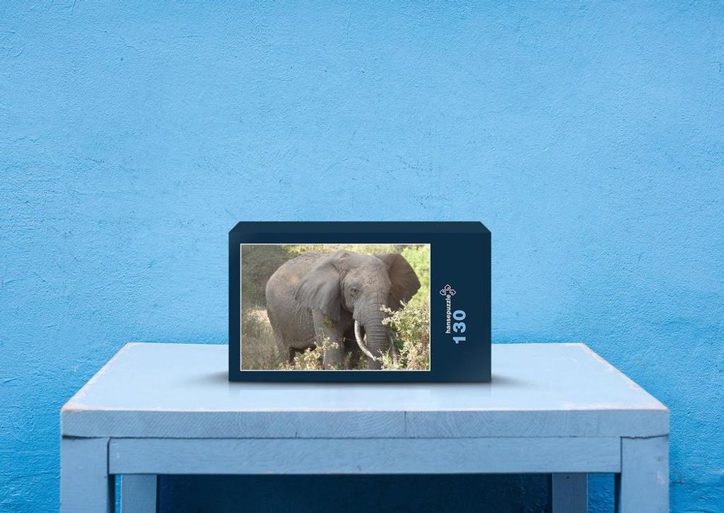 hansepuzzle 85807 - Elefant Puzzle, 130 Teile, Tierwelt, 28,7 x 20,0cm mit hochwertiger Aufbewahrung, Kartonbox und wiederverschließbarem Beutel