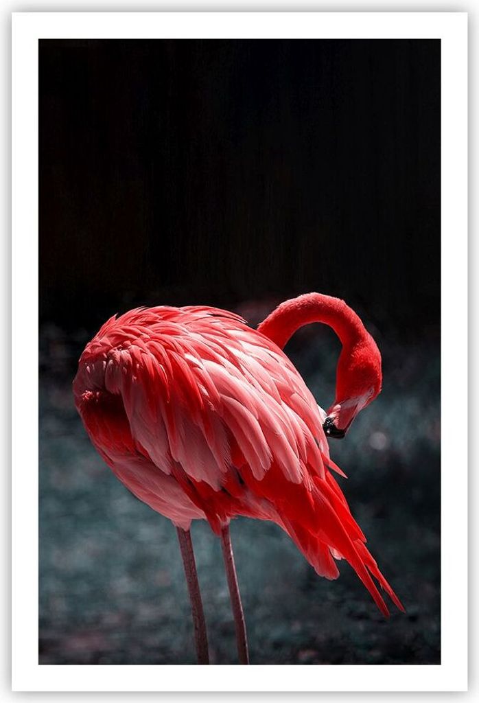 Poster - Poster ohne Rahmen - Flamingo Rosa Vogel - 61x91,5 cm - Wand Bild - Wanddeko - Wandbilder - Kunstposter - Wandposter - Bilder - Kunstdruck...