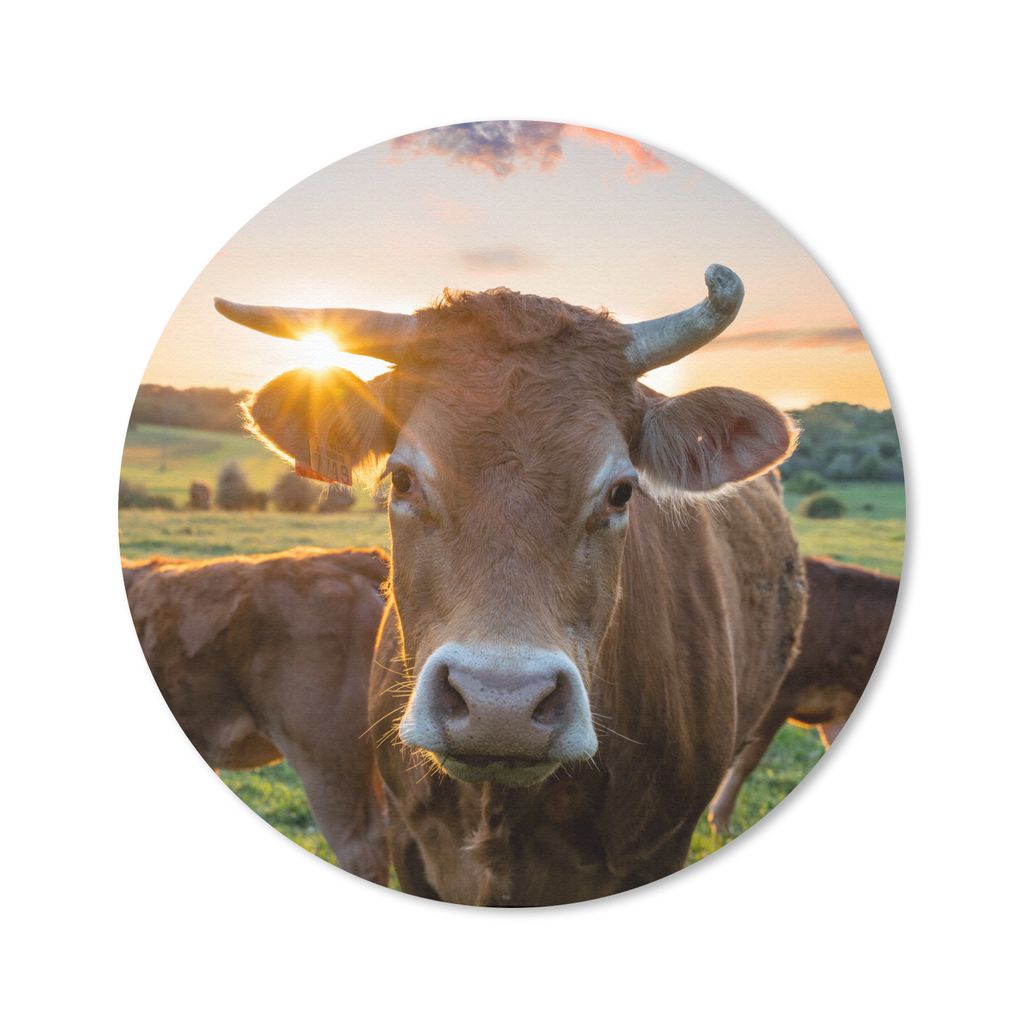 MuchoWow Mauspad Mousepad Kühe - Sonne - Wiese - Landleben 40x40 cm - Mousepads - Maus Mat - Pad - Mausunterlage - Schreibtisch Accessoires