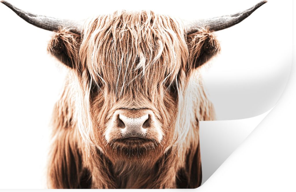 MuchoWow Wandtattoo Wandsticker Wandaufkleber Schottischer Highlander - Kuh - Stier 60x40 cm Selbstklebend und Repositionierbar - Wierderverwendb...
