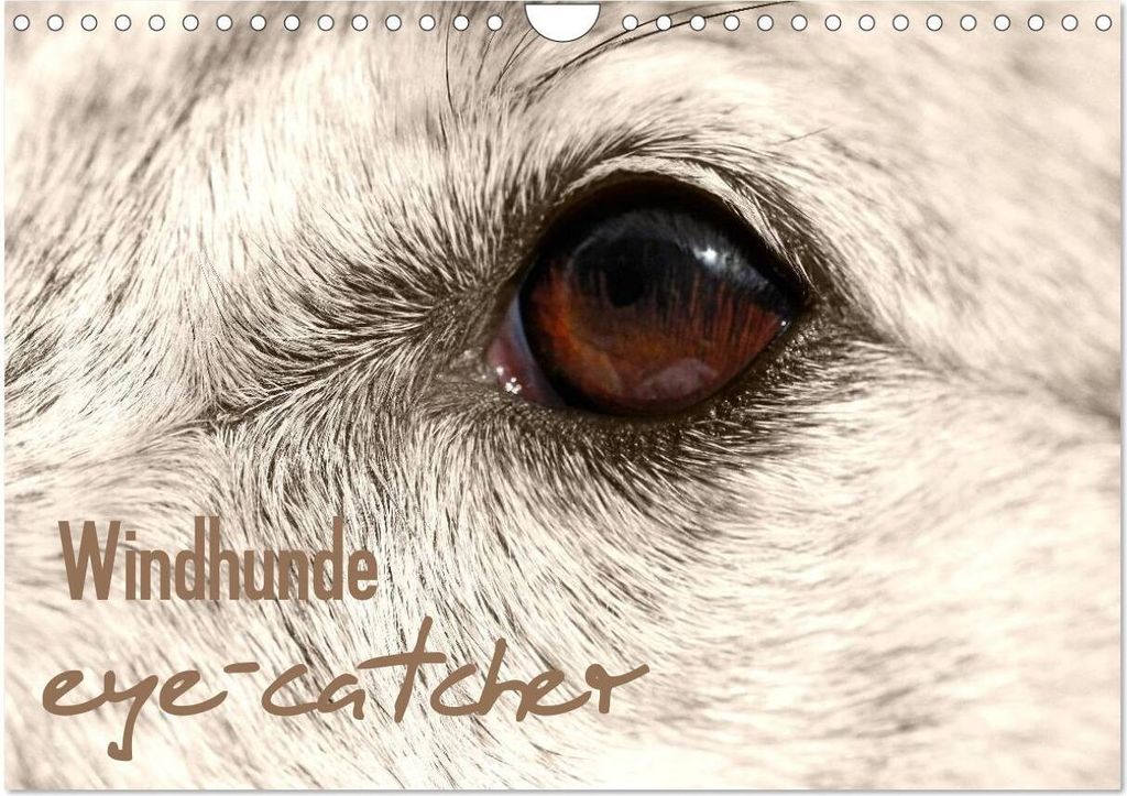Windhunde eye-catcher (Wandkalender 2026 DIN A4 quer), CALVENDO Monatskalender