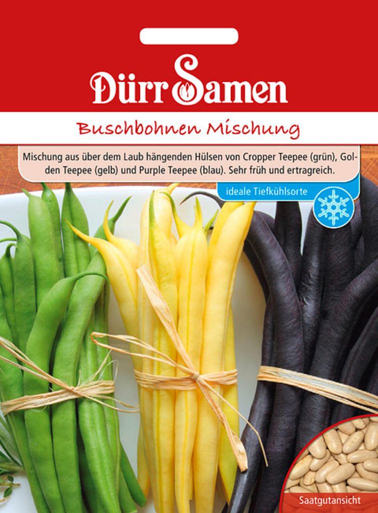 Dürr-Samen - Buschbohnen Mischung - Saatgut - 4347