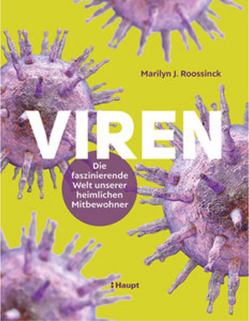 Viren Purificateur d'Air HEPA H13 pour Salon et Bureau Silencieux