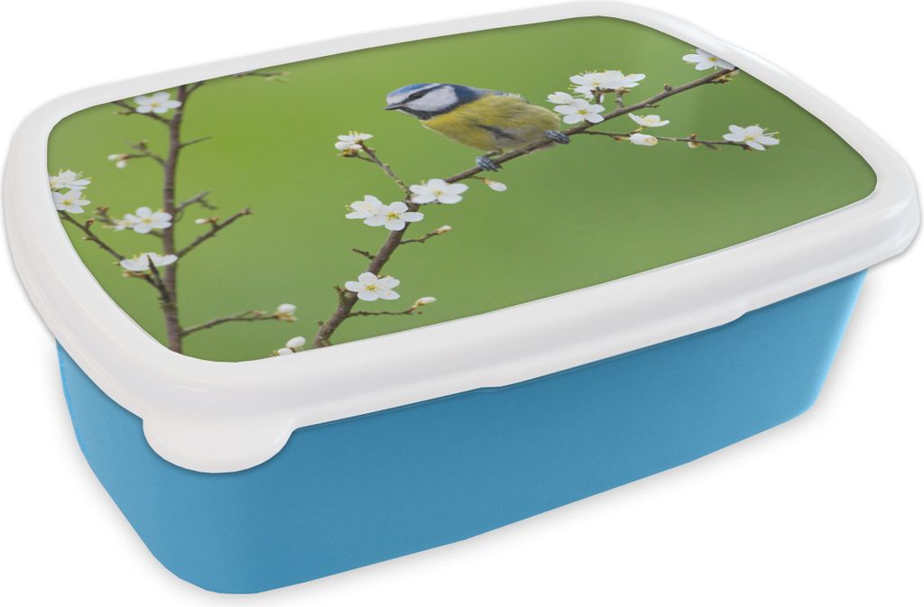 KitchenYeah® Lunchbox Brotzeit Brotdose 17x11 cm Blaumeise Produktbild 