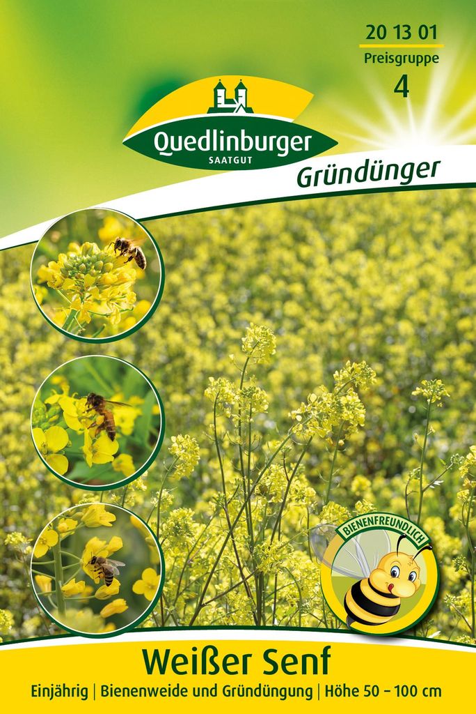 Senf weißer (50 g) | Gründünger von Quedlinburger Produktbild 