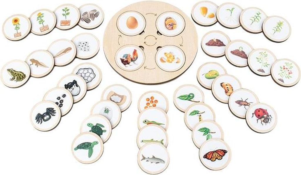 Spielzeug Spiel Für Kinder Rad des Lebens Phasen der Produktbild 