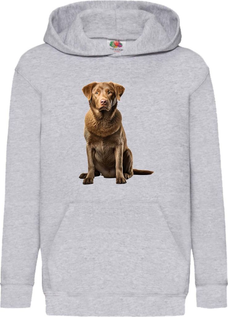 Kinder Kapuzenpullover Dogs Breeds Chesapeake Bay Retriever Dog Breed 007, 7-8 Jahr - 128 / Grau