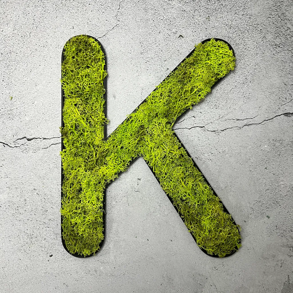 Lettera K Verde Primavera in Lichene Stabilizzato | Design Biofilico