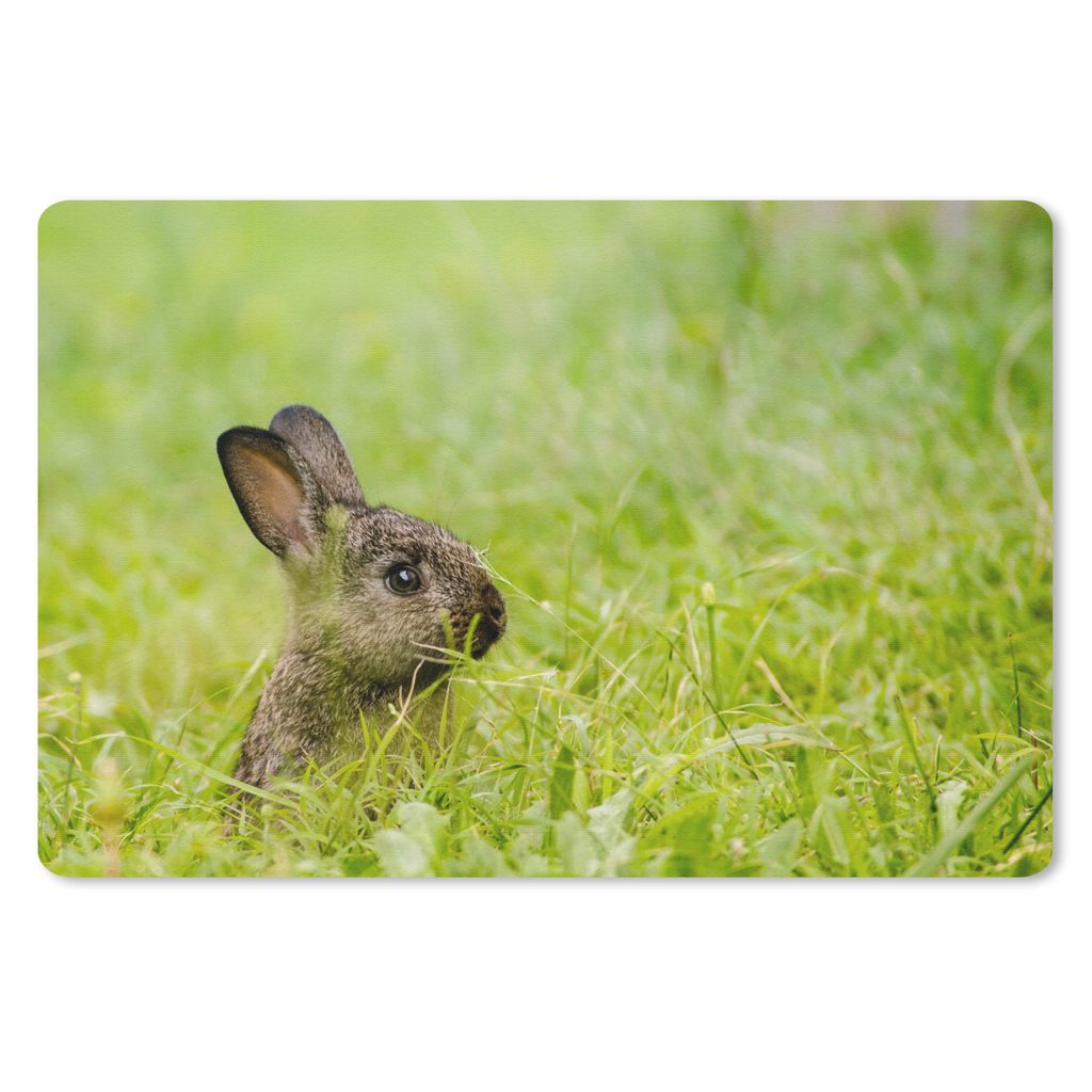 MuchoWow Mauspad Mousepad Kaninchen - Baby - Gras 27x18 cm - Mousepads - Maus Mat - Pad - Mausunterlage - Büroartikel - Desk Matten