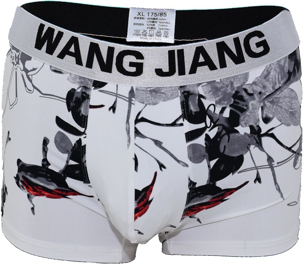 Boxer mit modisch bedruckt