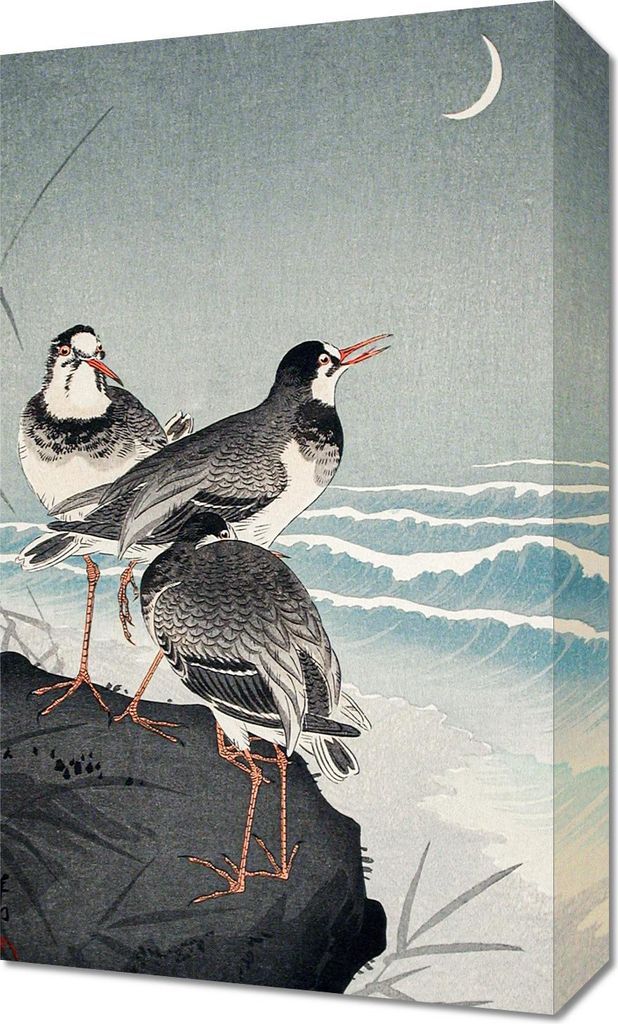 Bild 30x50cm Snipes am Ufer, Vintage Japanischer Koson für das Wohnzimmer