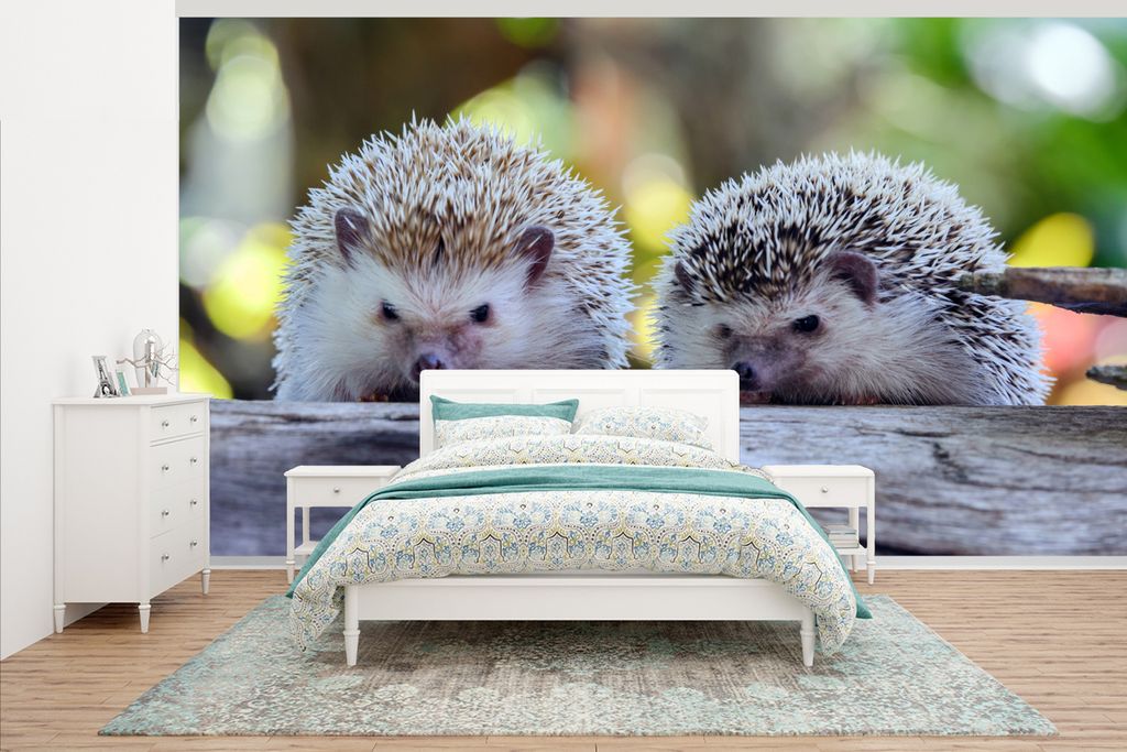 MuchoWow Fototapete für Wohnzimmer oder Schlafzimmer Wandtapete Vinyl Motivtapete Zwei Igel sitzen auf einem Ast - 535x300 cm - Wanddekoration