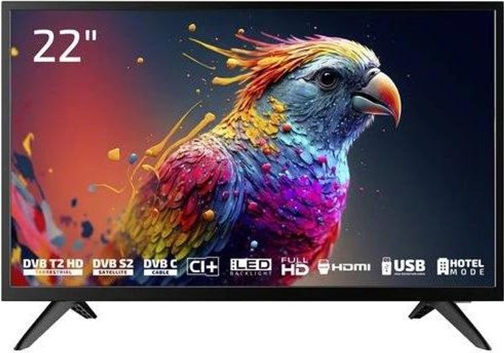 DYON Enter 22 Pro X2 TV LED, 55 cm (22"), EEK E, FullHD Immagine del prodotto 