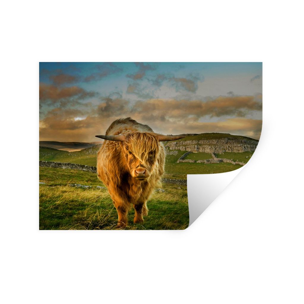 MuchoWow Wandtattoo Wandsticker Wandaufkleber Schottischer Highlander - Gras - Berg 120x90 cm Selbstklebend und Repositionierbar - Aufkleber