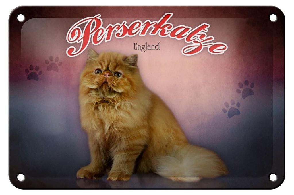 Blechschild Katze 18x12cm Perserkatze England Wanddeko