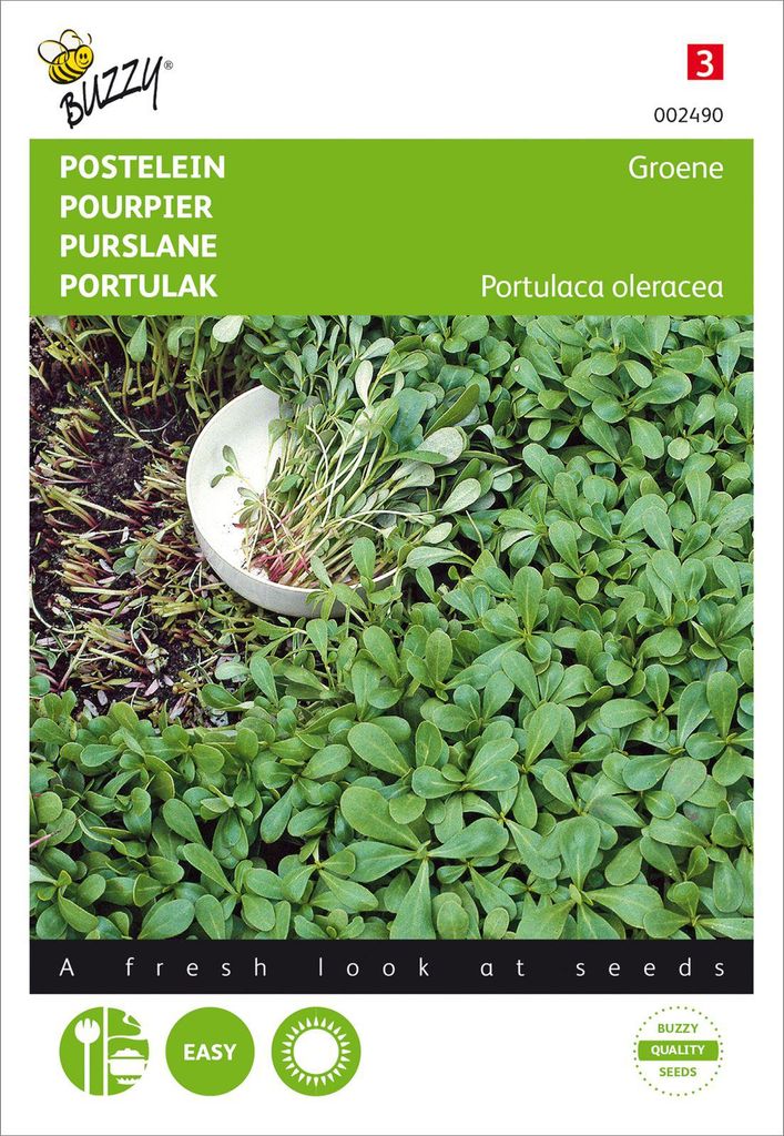 Portulak Grüner | Portulaksamen von Buzzy Seeds