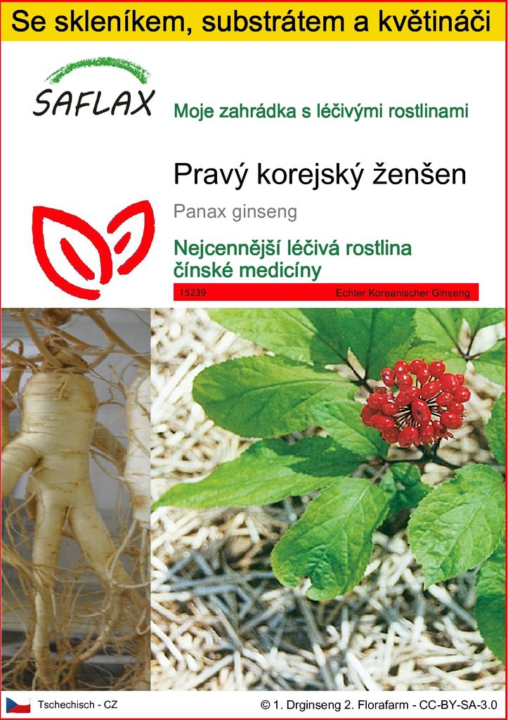 SAFLAX Kultivační sada - Pravý korejský ženšen - Panax Obrázek produktu 